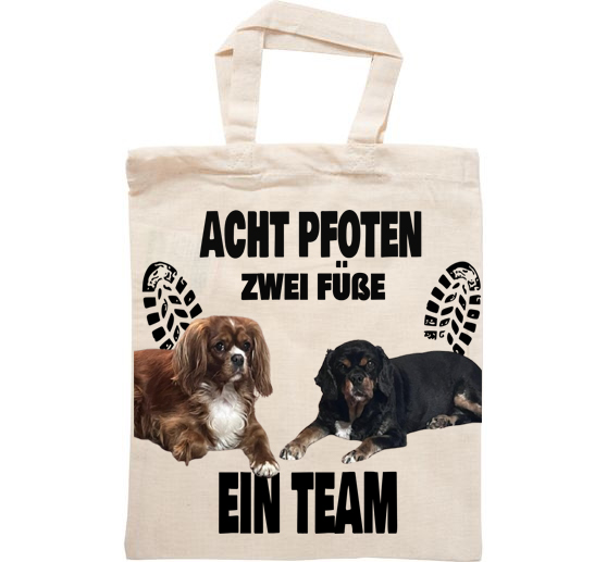 Kleiner Beutel mit Acht pfoten zwei Füße ein Team